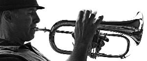 Shane Chalke's Jazz Trio